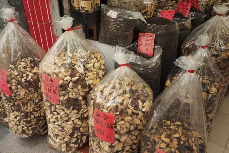 Roots, Bark, and Bone: The Underground Healers Who Kept Saigon Breathing